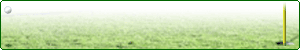 OZFC΍ЕیЂ̃St@[یЉy[W\܂B
